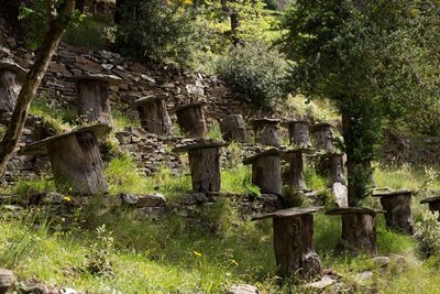 Rucher tronc, la Roquette