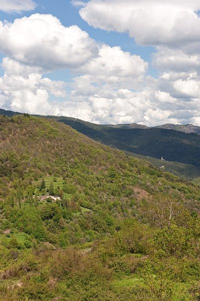 Paysage des Cévennes