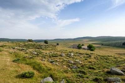 Paturâges sur les hauteurs de Mas Camargues