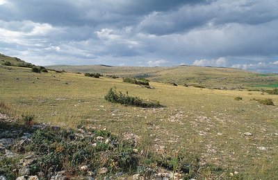 Paysage du Causse