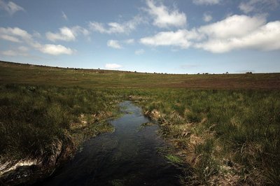 Source du Tarn