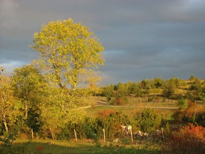 Vue depuis le Tomple