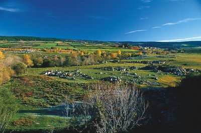 Le Bramont en aval des Faux