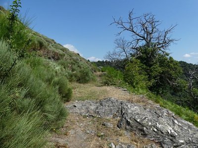 Chemin entre Massevaques et Rousses