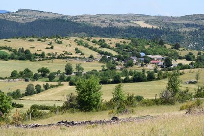 Haie autour du Mas André