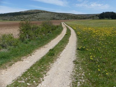 La plaine de la Condamine