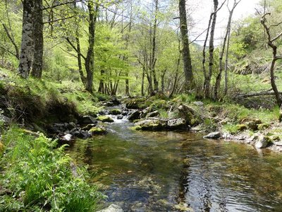 Ruisseau de la Croix de Fer