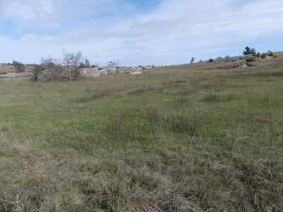 Paysage du Causse