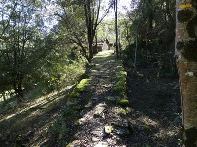 Le moulin et son bassin