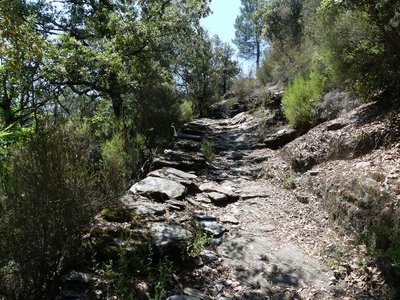 Vieux chemin