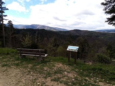 Vue sur le versant est du mont Lozère