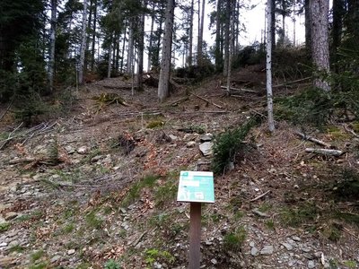 Zone reboisée par le RTM