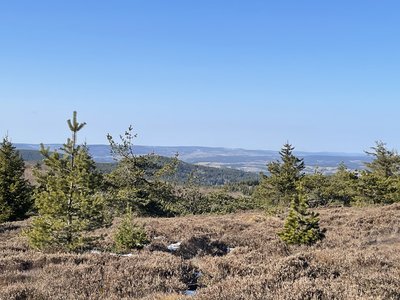 Arrivée au Moure de la Gardille au milieu des champs de bruyère