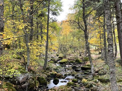 Le ruisseau de la Clamouse à Chastanier