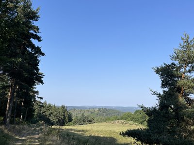 Entre prairie et forêt