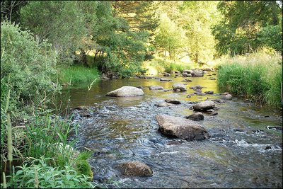 De ruisseau en ruisseau