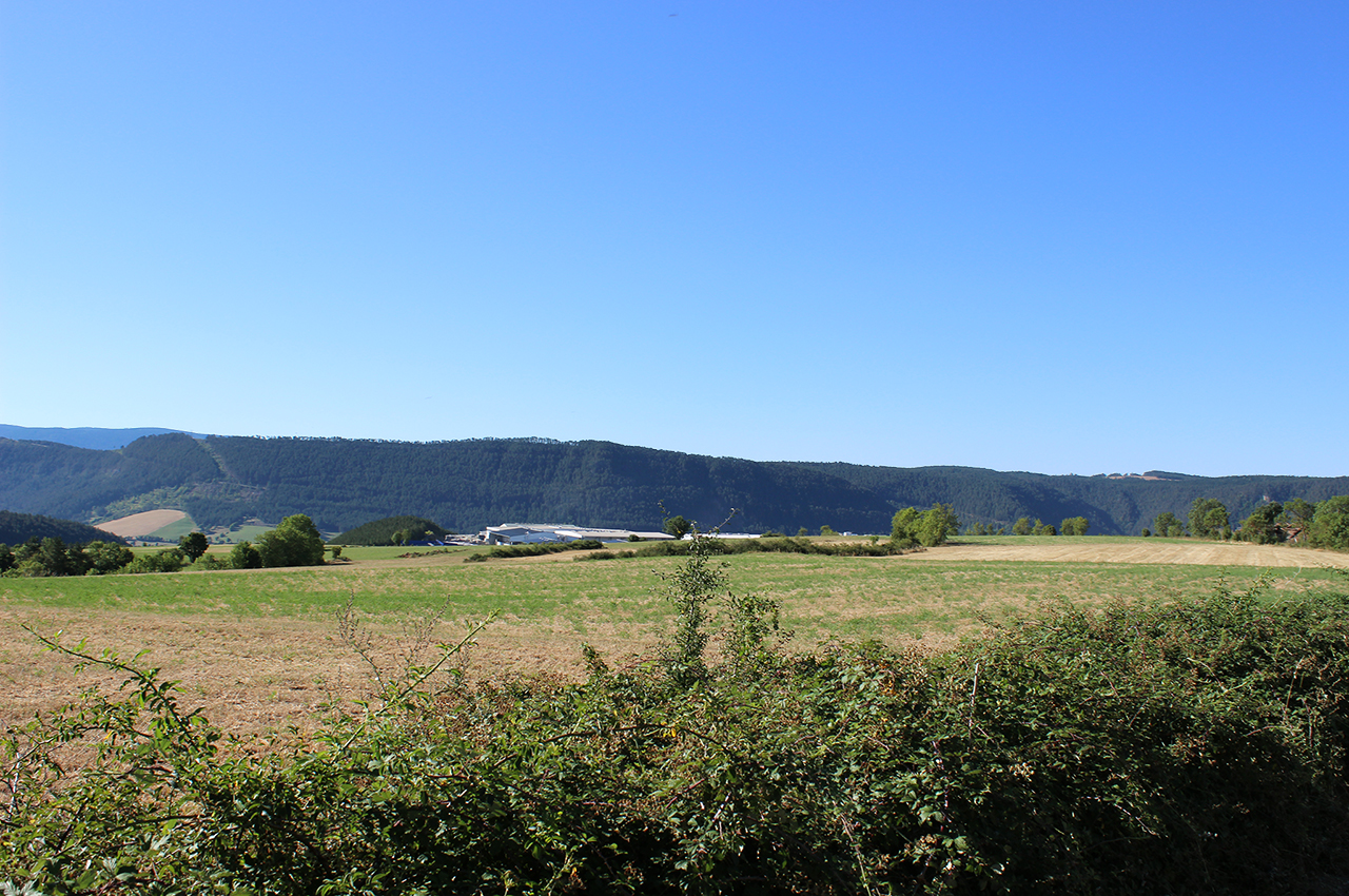 Vue sur le Causse de Mende depuis le Causse d'Auge