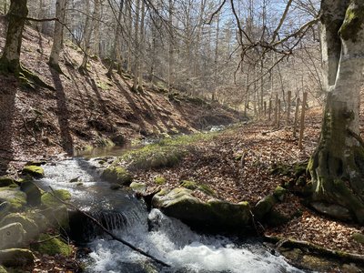 Ruisseau du Riou Mournat