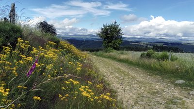 Sur les chemins de Margeride