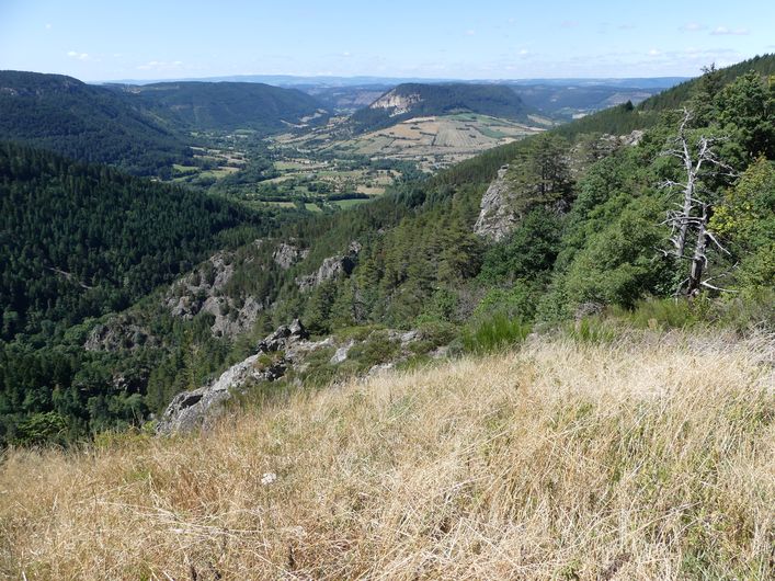 Vallée du Bramont depuis Bassy