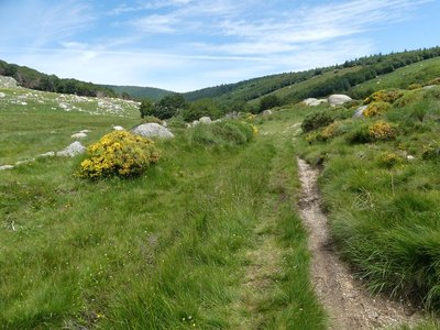 Descente sur Gourdouze