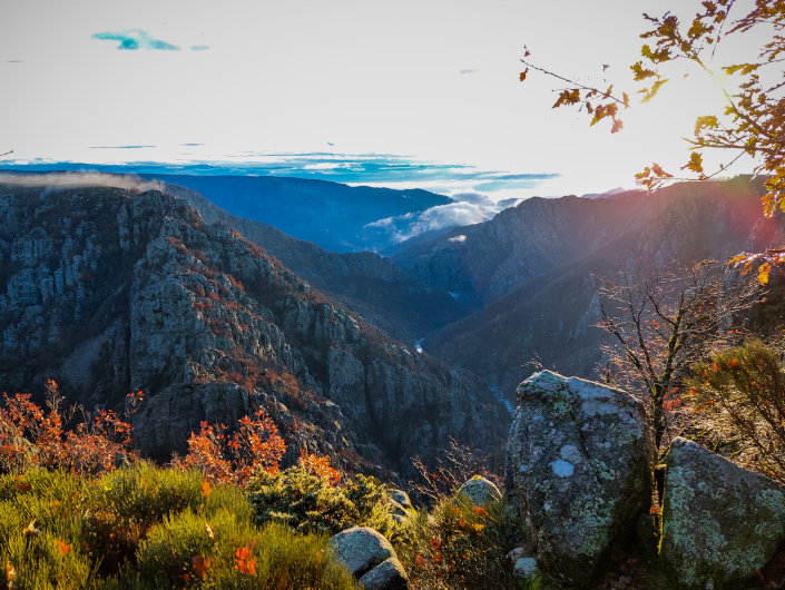 Vue sur les Gorges du Chassezac