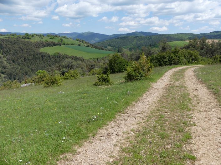 Bout de Côte, Aigoual