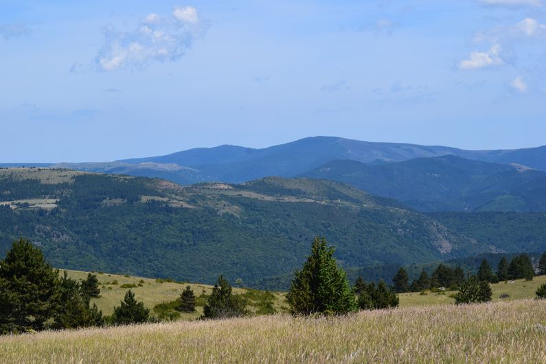 Vue depuis le causse de Sauveterre