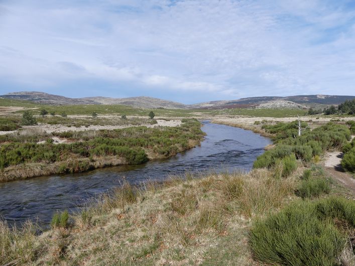 La plaine du Tarn