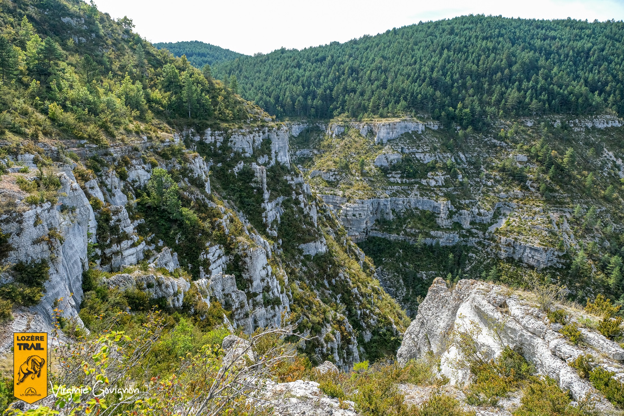 paysage Gorges du Tarn