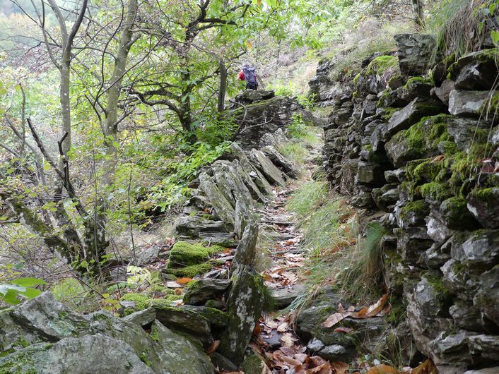 Sentier bordé de murets de pierre