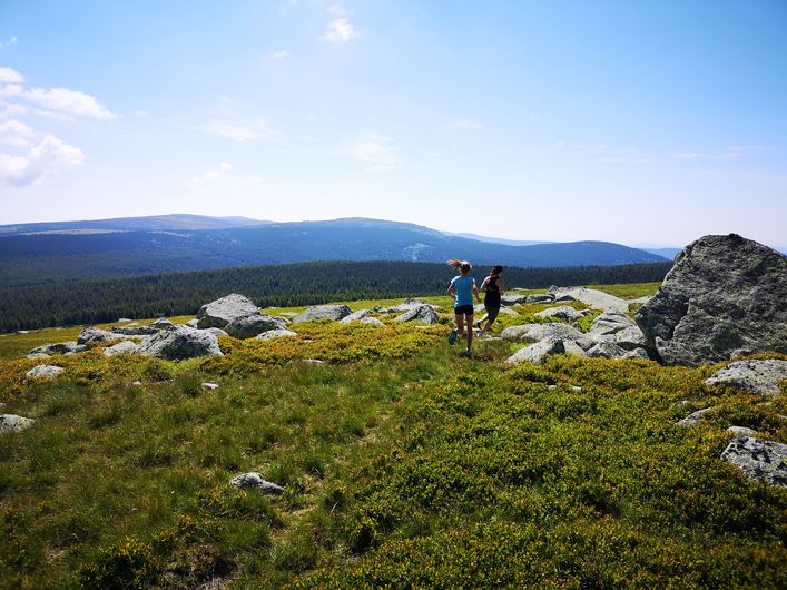 Coureurs sur les Crêtes du Mont Lozère