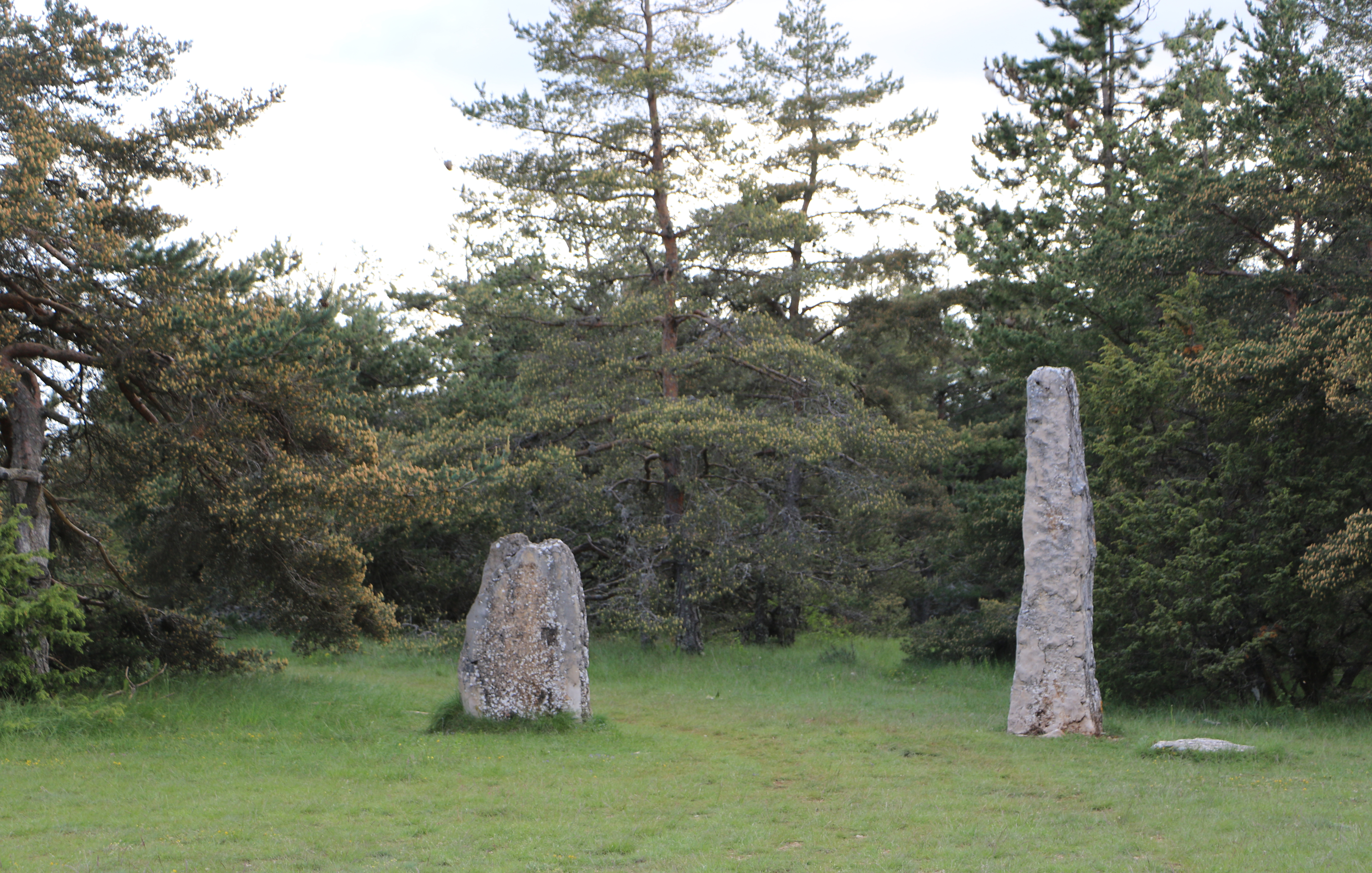 Les menhirs de Roumaldis