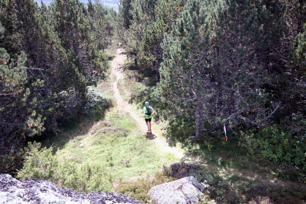 Traileur en descente