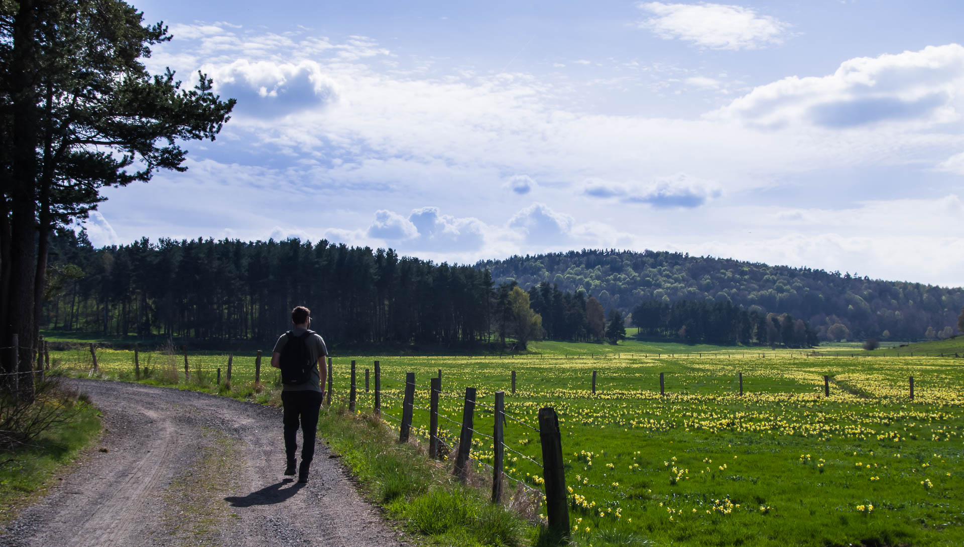 Sur les chemins