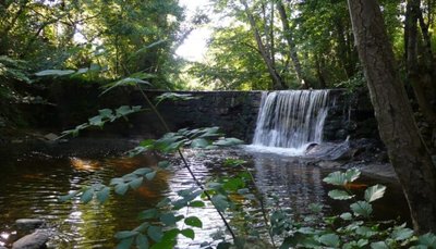 Un des nombreux cours d'eau qui parcourent les contreforts de l'Aubrac