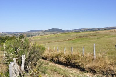 Les monts d'Aubrac depuis le chemin de crête