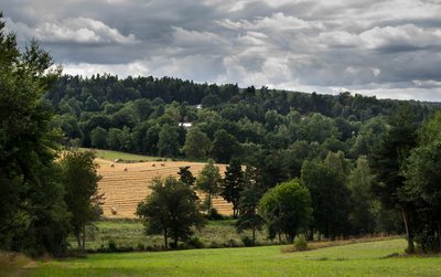 Paysages vallonnés de la Margeride