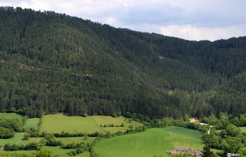 Vue depuis les hauteurs du Bruel