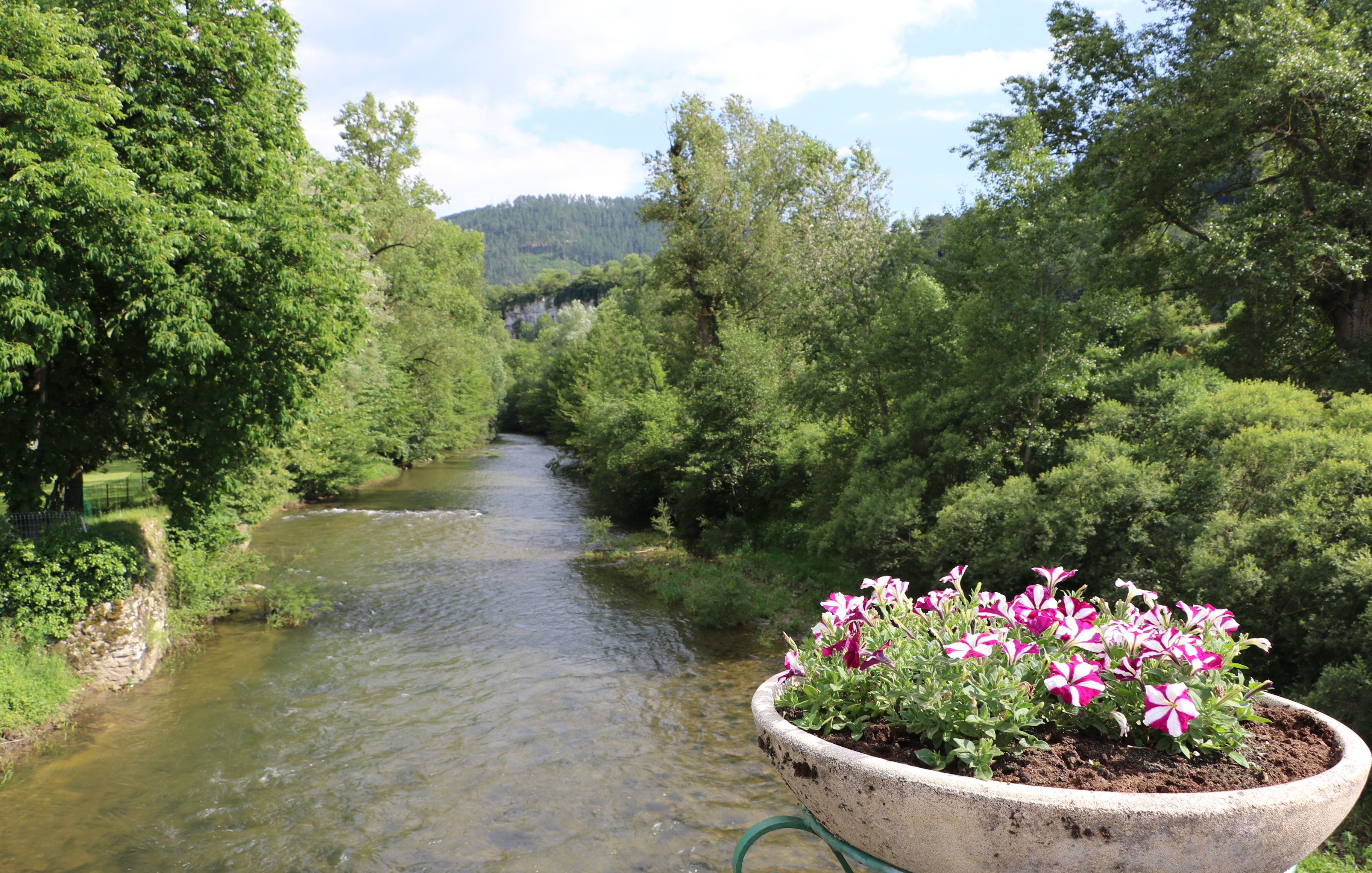 Le Lot au Pont Vieux à Chanac