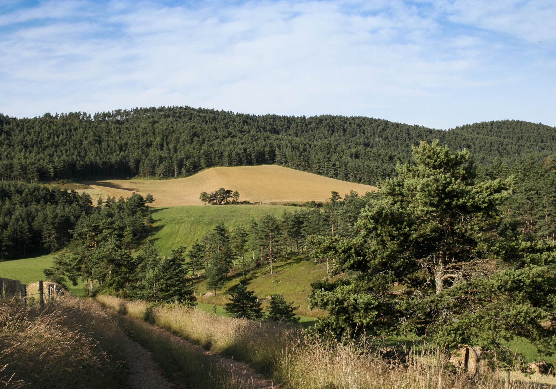 Vue depuis le circuit du Mazelet
