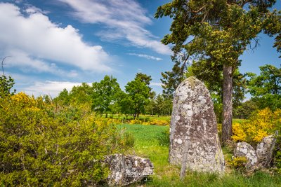 Le Menhir de Pinjo Chabre