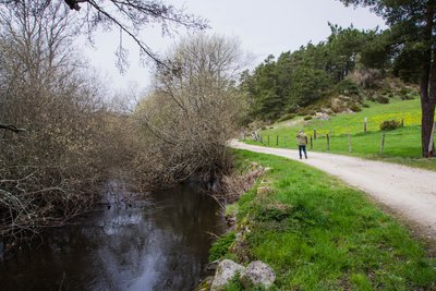 Les berges de la Truyère