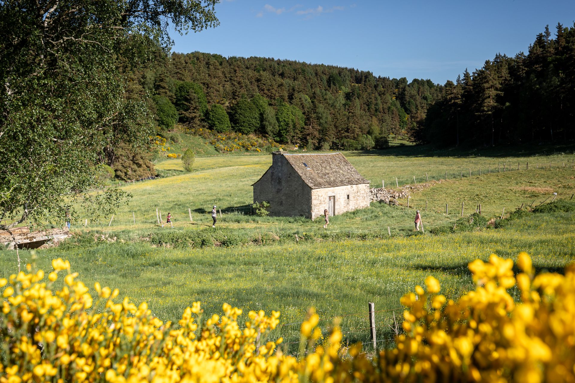 Le moulin de Graniboules