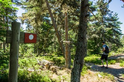 Les tourbières de Lajo