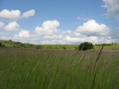 Paysage Causse de Sauveterre