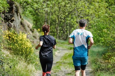 Traileurs en forêt, au milieu des genêts