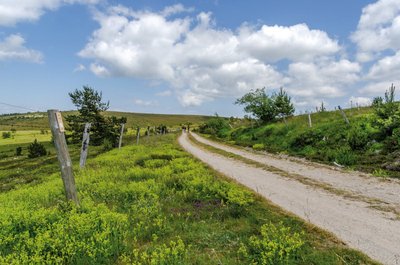 Sentier sur le Mont Lozère