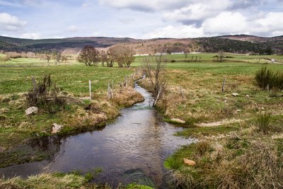 Ruisseau des Ducs