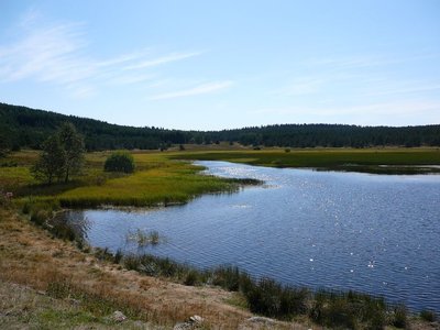 Etang de Barrandon